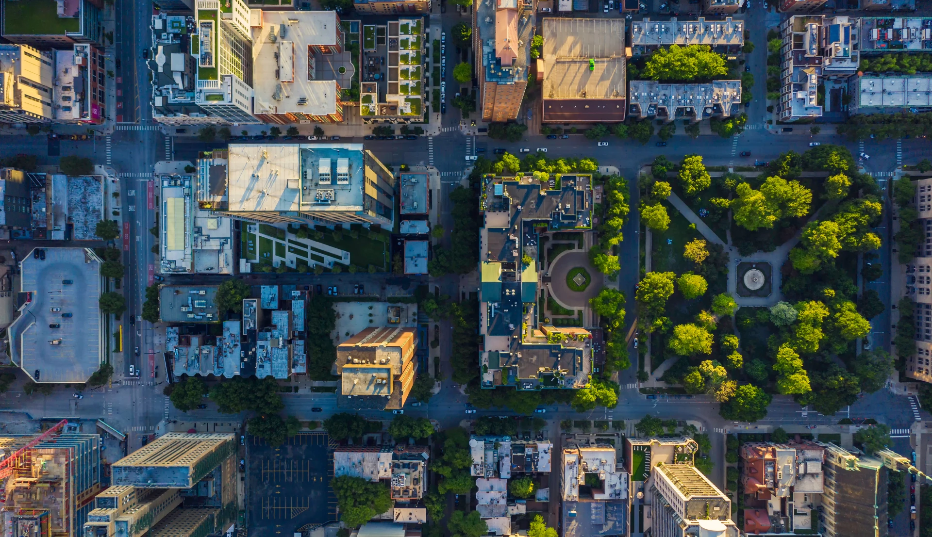 top view of a metropolis with trees