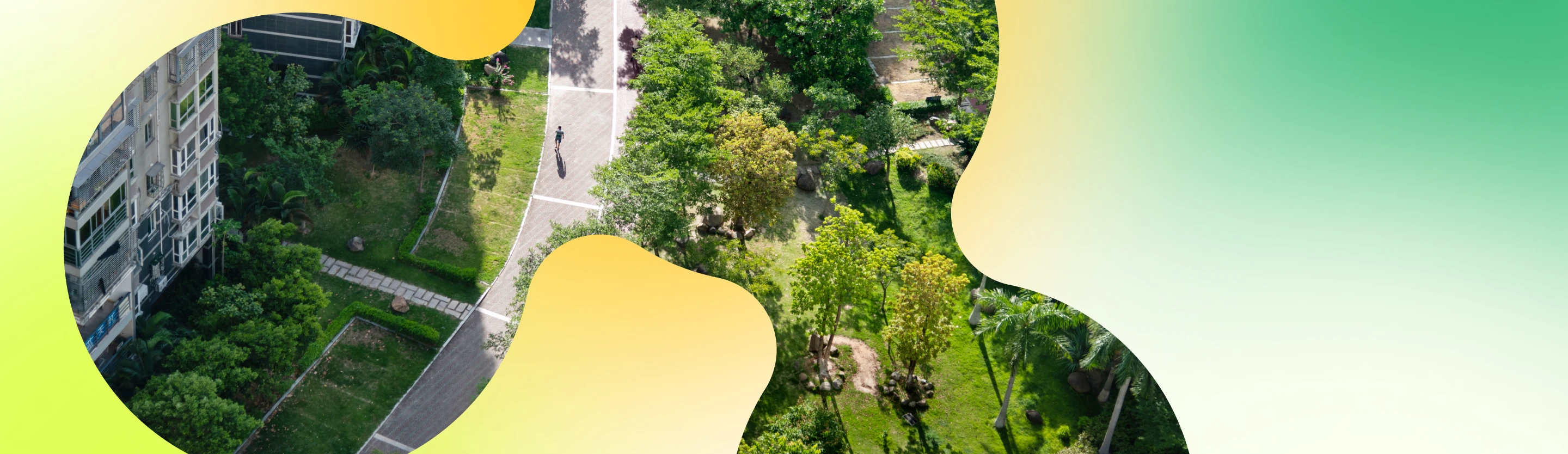 overhead view of a green park within a city